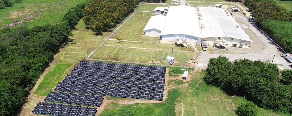 Planta CMI Alimentos