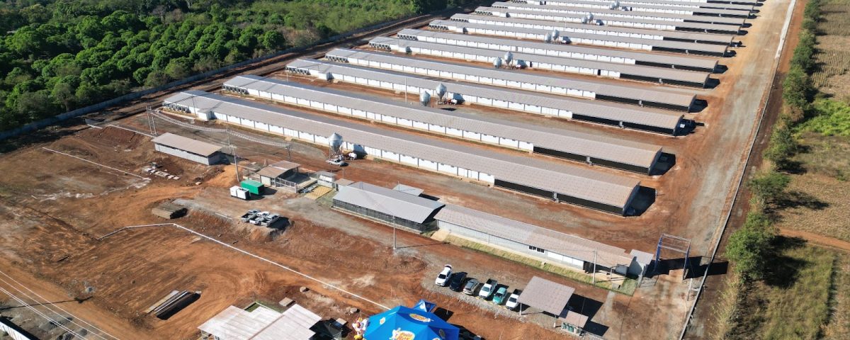 cmi granja avícola