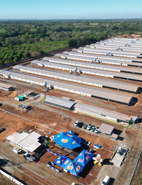 cmi granja avícola