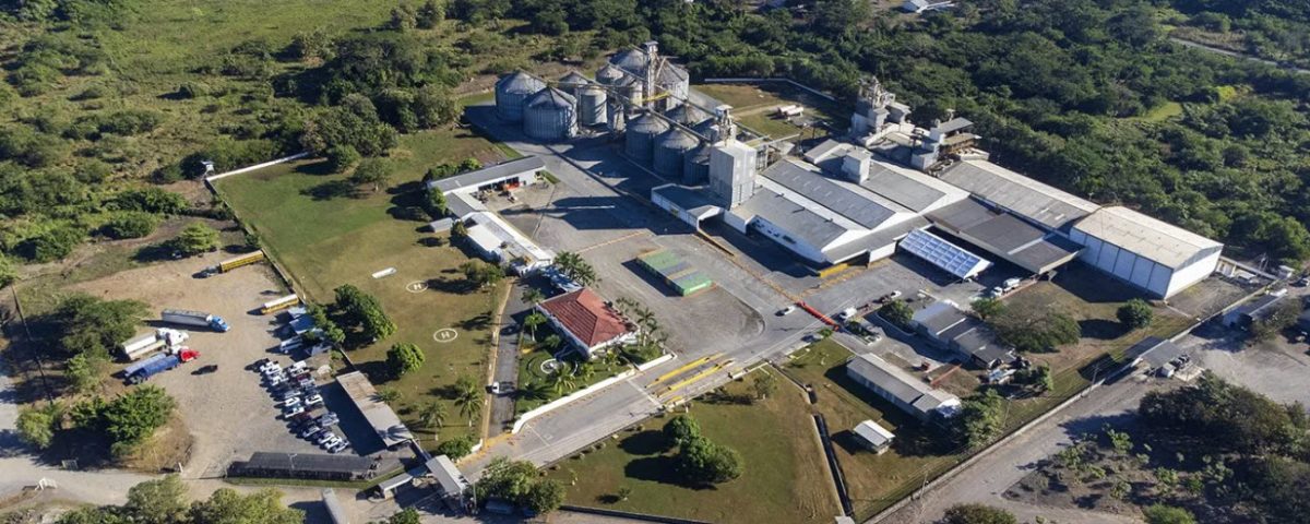Certificacion Carbono Neutral - CMI Planta