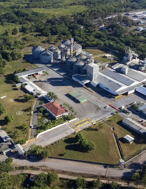 Certificacion Carbono Neutral - CMI Planta